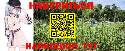 шишки Иваново