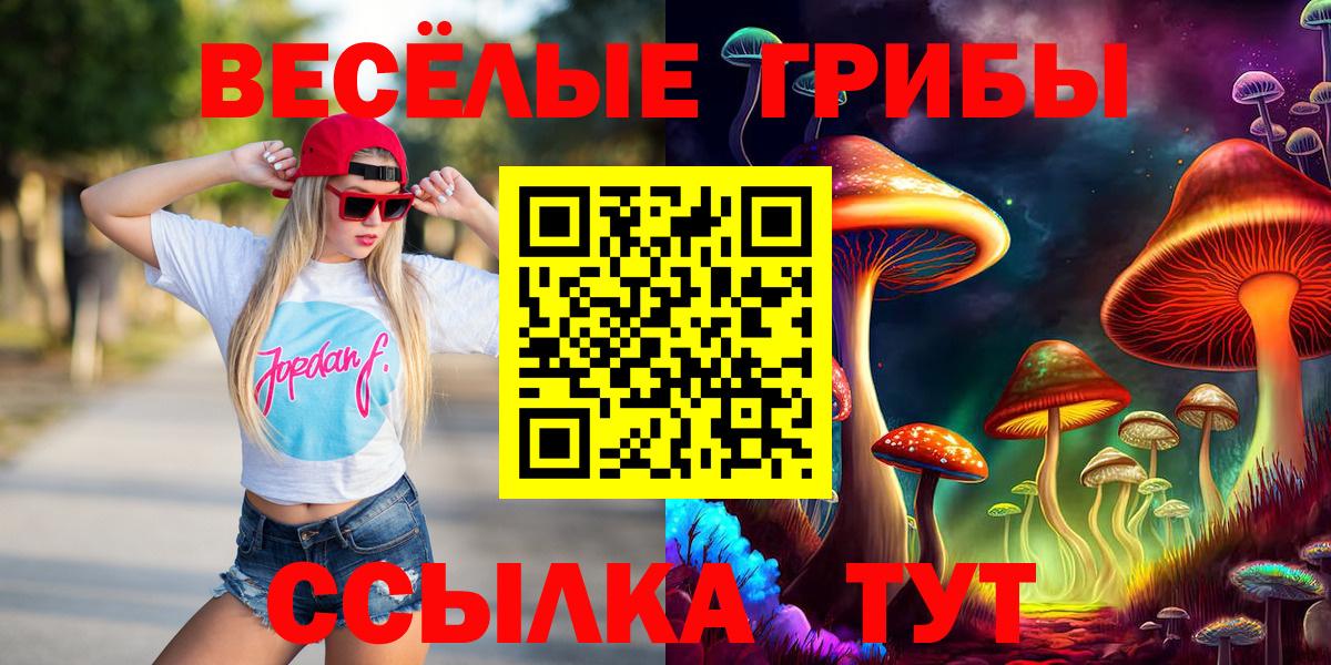 Псилоцибиновые грибы мицелий  Вход с VPN  Галлюциногенные грибы Psilocybe  Боровичи 