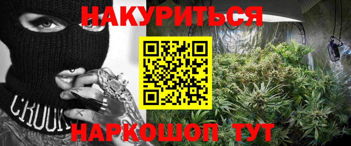 Конопля AK-47 Боровичи